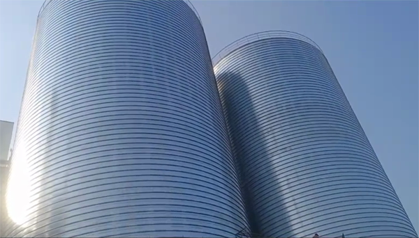 集贤2座混凝土高架卷板仓